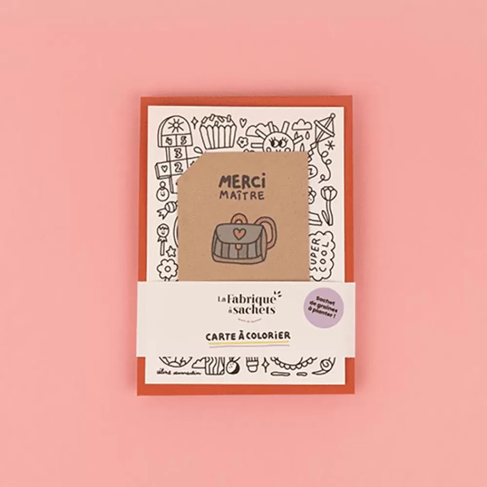 Fashion Coloring Card And Seeds To Sow: Thank You Master Greeting Cards