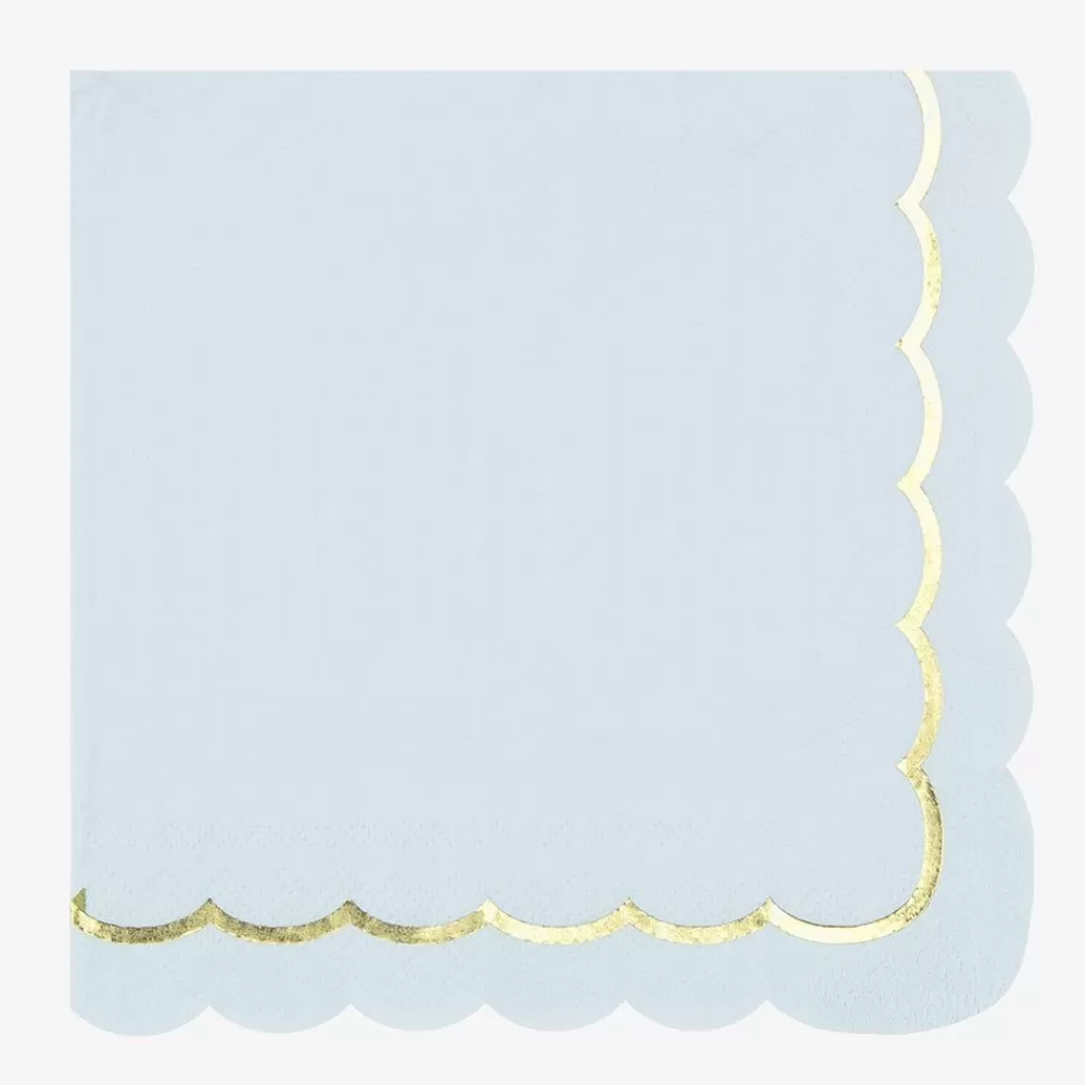 Cheap Paper Napkins: 16 Pastel Blue Napkins Napkins